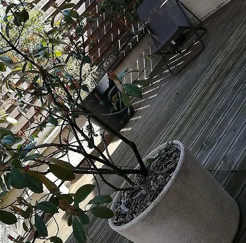 Les Penates Terrasse Apartament *